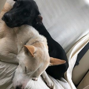 Meet your Posher, Jay